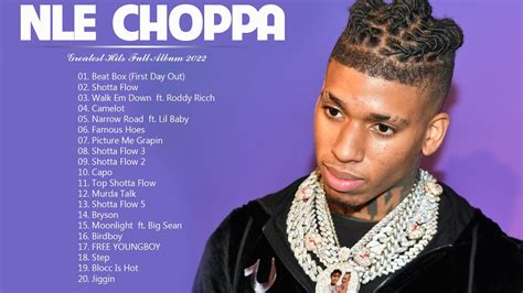 best nle choppa songs